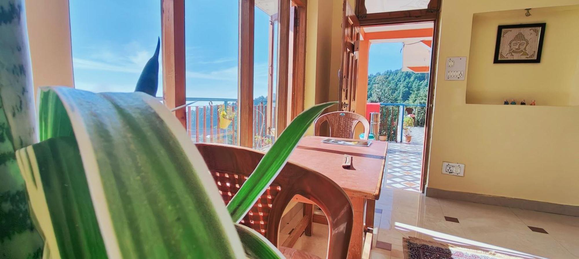 达兰萨拉The Unmad - Dharamkot住宿加早餐旅馆 外观 照片