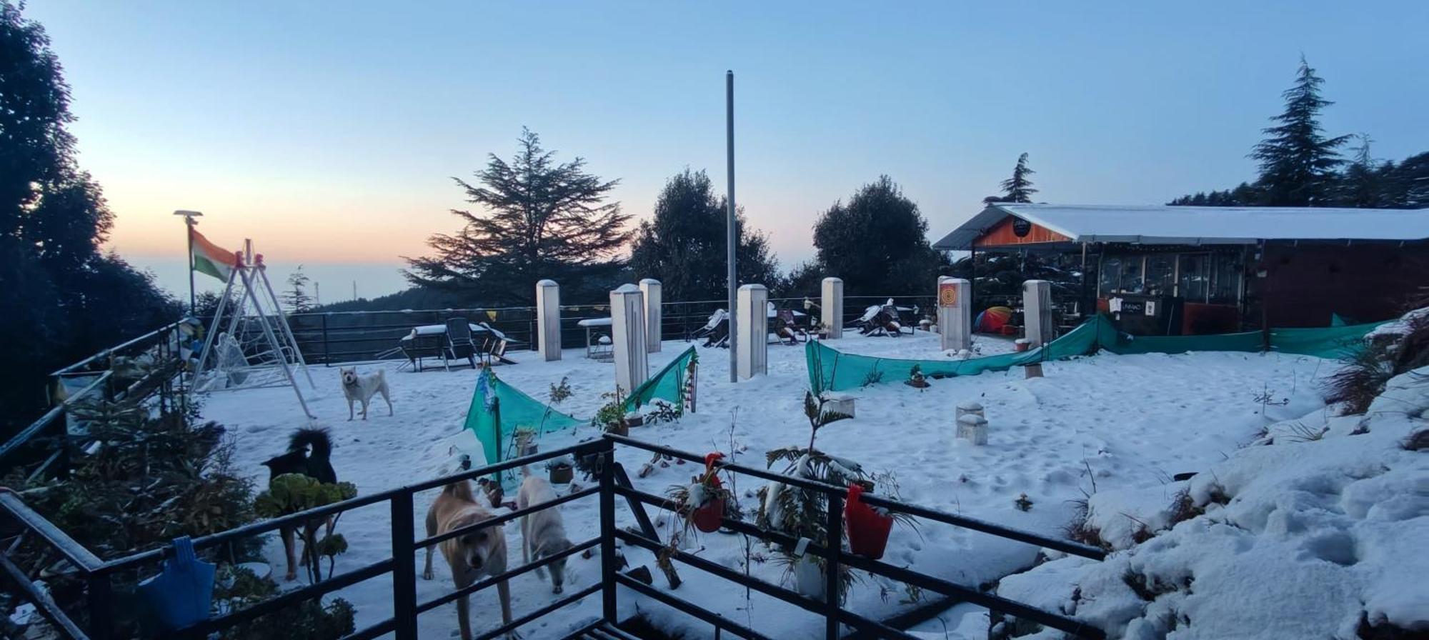 达兰萨拉The Unmad - Dharamkot住宿加早餐旅馆 外观 照片