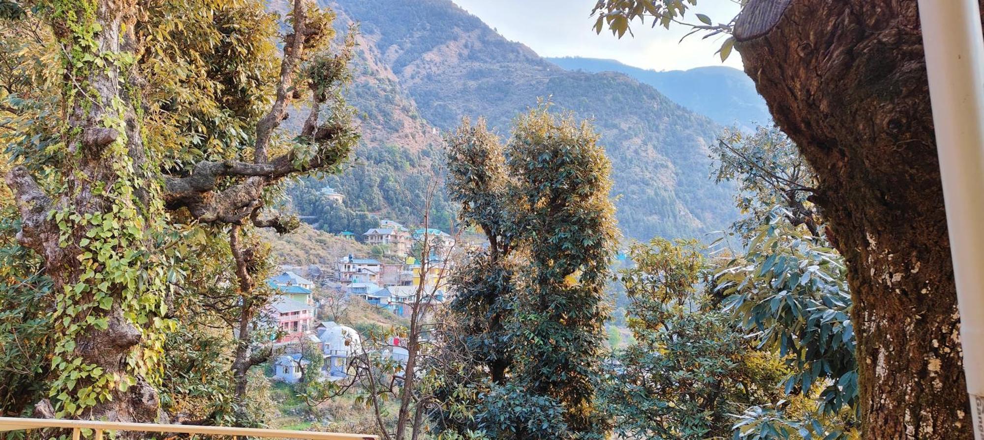达兰萨拉The Unmad - Dharamkot住宿加早餐旅馆 外观 照片