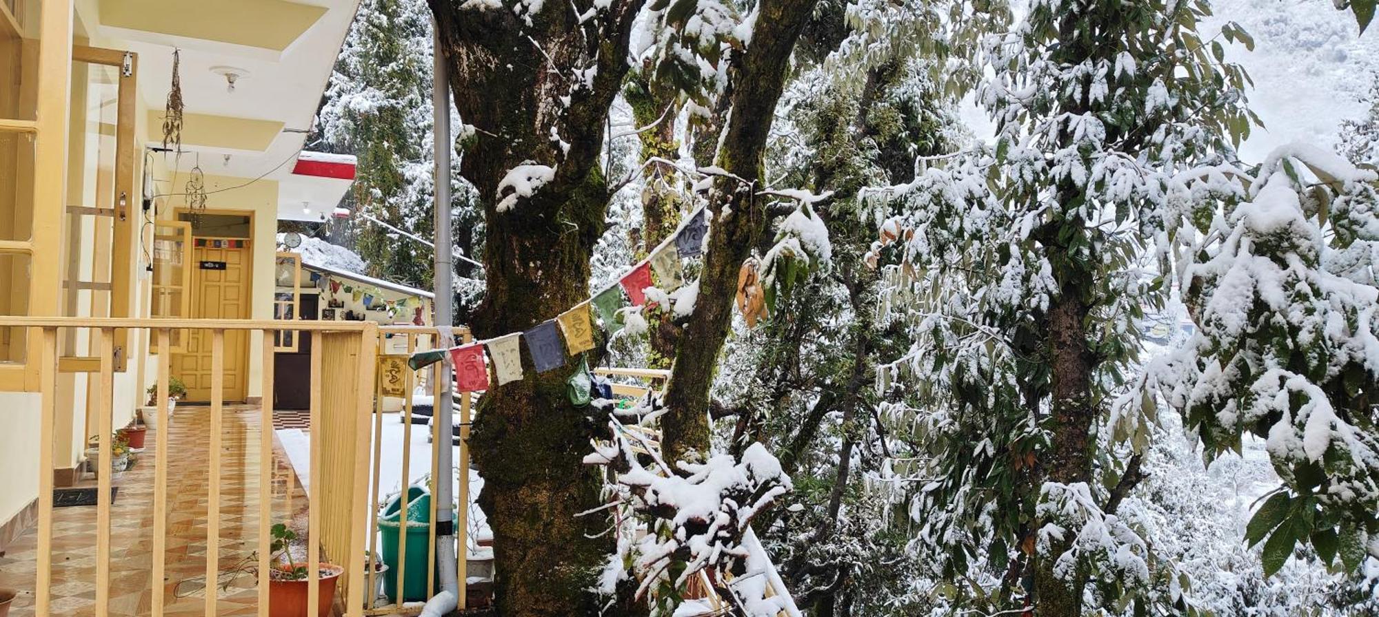 达兰萨拉The Unmad - Dharamkot住宿加早餐旅馆 外观 照片